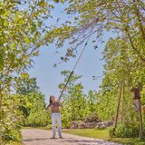 Gardena StarCut Pro L Teleskopske škarje za veje, višinska obrezovanje | Shoptok.si