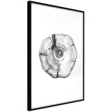  Poster - Tree Rings 30x45 | shoptok.hr