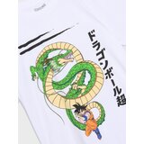 Sinsay Majica kratkih rukava DragonBall | shoptok.hr