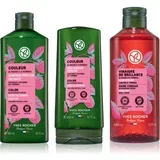 Couleur set za kosu