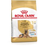 Royal Canin German Shepherd Adult 5+ - 12 kg | shoptok.hr