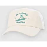 Dad Cap salt crystal 1