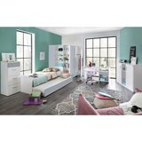 CARRYHOME POSTELJA | Shoptok.si