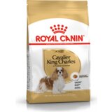 Royal Canin Cavalier King Charles španjel Adult 1,5 kg | Shoptok.si