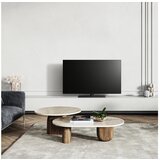 Panasonic TX-48LZ1500E 4K Ultra HD televizor | ePonuda.com