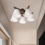  Brilagi - LED Prislonjen luster ANTHONY 5xE14/40W/230V hrast orah/bela | Eponuda.com