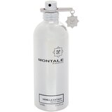 Montale Vanilla Extasy parfumska voda 100 ml Tester za ženske | Shoptok.si