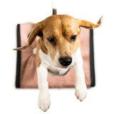 Rexproduct Svijetlo ružičasta navlaka za krevetić za pse 90x70 cm Ori XL – | shoptok.hr