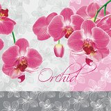  Serviete za decoupage - Modri cvet - 1kom (decoupage – servietna) Cene