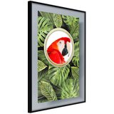  Poster - Parrot Says Hi 30x45 | shoptok.hr