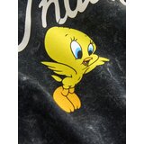 Next Majica 'Looney Tunes' temno siva / zelena / rdeča / bela | Shoptok.si