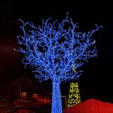 springos božićne lampice, 500 LED, 31,5 m, plava | shoptok.hr
