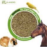 KLASEBO Konopljino seme 10kg za ptice, glodalce in konje bogato z maščobami, vitamini, minerali, brez THC, (5000090441) | Shoptok.si