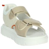 Balducci BS5720 Bež | shoptok.hr