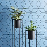 Mömax Okrasni Lonček Kiara -Akt- | Shoptok.si
