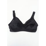 CA brushalter, Crni Cene