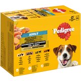 Pedigree multi pakiranje vrećice - 12 x 100 g izbor peradi u umaku (4 vrste) | shoptok.hr