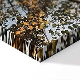  Slika - Autumn Colours (1 Part) Vertical 40x60 | shoptok.hr