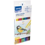  Barvice šolske spree z radirko 1/12 57062 SPREE | Shoptok.si