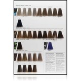 L´Oréal Paris Inoa ODS2 barva za lase odtenek 10.12 Lightest Ash Iridescent Blonde 60 g | Shoptok.si