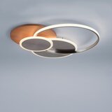 PAUL NEUHAUS 8328-79 - LED prigušiva plafonska svetiljka PALMA LED/50W/230V + daljinski upravljač | Eponuda.com