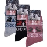 B.Fortuna 3 Pari Nordic Forest volnene ženske nogavice | Shoptok.si