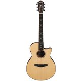 Ibanez Akustična gitara sa ozvukom AEG200-LGS, Natural Low Gloss Cene