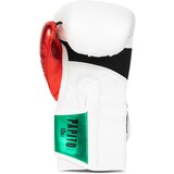 Tapout Artificial leather boxing gloves (1pair) | Shoptok.si