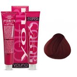 YOUNG Farba za kosu No 5.6, Red Light Chestnut, 100ml Cene