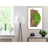  Poster - Forest Nature 20x30 | shoptok.hr