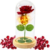 Eternal Rose In Glass Dome LED Lighting Red 21x11cm | Shoptok.si