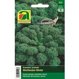 AUSTROSAAT Zelje "Westlandse Winter" Cene