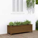 vidaXL Vrtna visoka greda medeno rjava 119,5x40x39 cm trdna borovina Cene