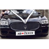  AVTOMOBILSKE TABLICE 2 kom (nalepka) TABAVT 20 | Shoptok.si