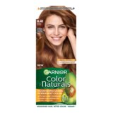 Garnier Color Naturals 6.41 Boja za kosu Cijene