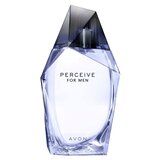 Avon Perceive toaletna voda za moške 100 ml Cene