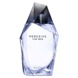 Perceive toaletna voda za muškarce 100 ml