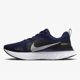 Nike muške patike react infinity run fk 3 rf DZ3014-401 | ePonuda.com
