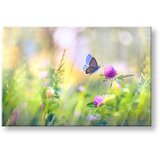  Slike na platnu šareno CVEĆE_161-11 (moderne slike na platnu) | ePonuda.com