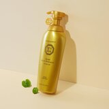 DAENG GI MEO RI Yula Gold Shampoo šampon za intenzivno jačanje kose za jačanje i sjaj kose 500 ml | shoptok.hr