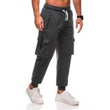 Edoti Men's sweatpants Cene