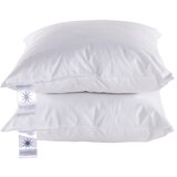 Universe of Sleeping Punilo za jastuk s punjenjem od perja 30x50 cm Sofa – | shoptok.hr