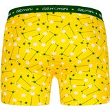 Frogies Men's boxers Zodiac Dvojček 2P Gift box | Shoptok.si