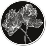 Pintdecor Zidni ukras Linee floreali | shoptok.hr