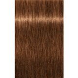 Schwarzkopf igora Royal Absolutes - 7-60 srednje blond čokoladna natur, 60 ml | Shoptok.si