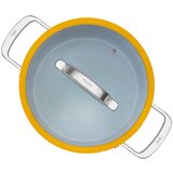FABINI Aluminijast lonec s pokrovko in neprijemljivo površino za indukcijsko ploščo 5,5 l Meda 3.0 – | Shoptok.si
