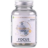 Neubria focus – prirodni suplement za poboljšanje fokusa i koncentracije