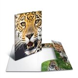 Herma Mapa s elastičnom gumicom A3 PP Leopard Cijene
