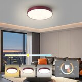  Brilagi-LED Stropno svetlo POOL LED/48W/230V 3000/4000/6000K 40 cm bordo | Eponuda.com