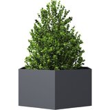  Vrtna sadilica antracit šesterokutna 104x90x45 cm čelična | Eponuda.com